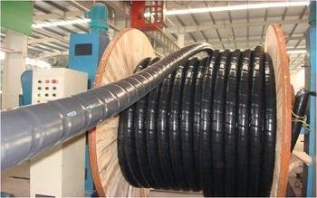 山東省德州市MKVV10*0.75生產(chǎn)基地 電線電纜技術(shù)開(kāi)發(fā)與產(chǎn)業(yè)實(shí)踐